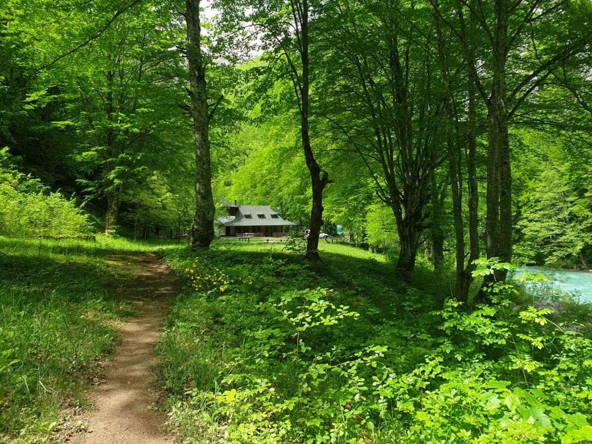 Apartmani Cetkovic Žabljak Exteriör bild